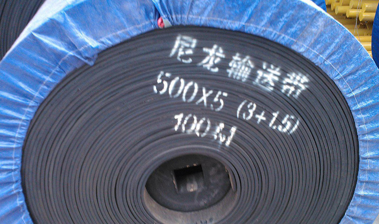 尼龙输送带图片4